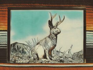 [This is a Jackalope.]